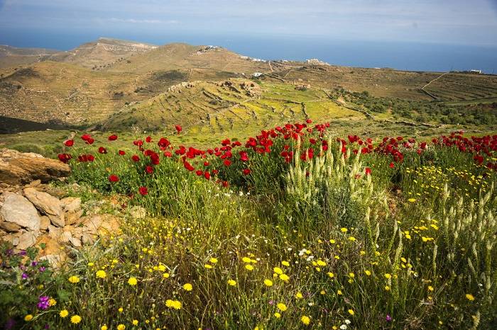 lesbos-vakantie-informatie-griekenland